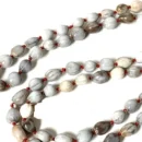 1-vaijanti-mala-natural-vaijanti-mala-with-rudraksha-original-original-imahg6csnrqfybgy