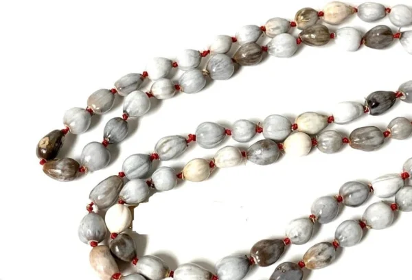 1-vaijanti-mala-natural-vaijanti-mala-with-rudraksha-original-original-imahg6csnrqfybgy