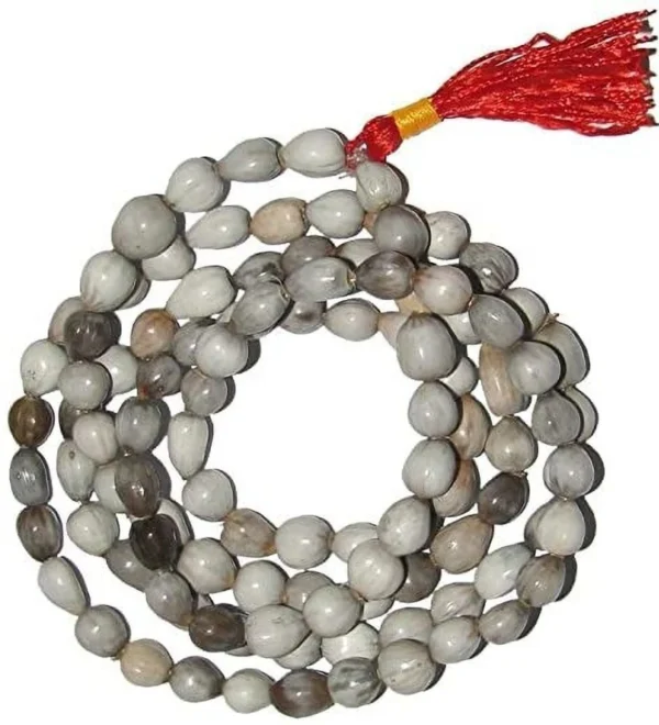 1-vaijanti-mala-natural-vaijanti-mala-with-rudraksha-original-original-imahj85nhyffgntn